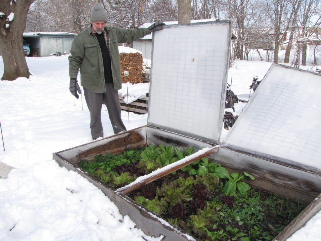 Dr. Mark Seely's winter garden.